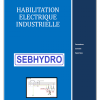 Habilitation electrique industrielle page 1