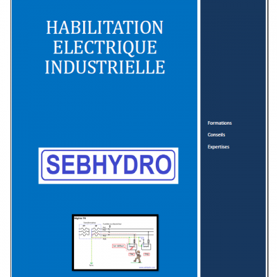 Habilitation électrique industrielle (livre)  