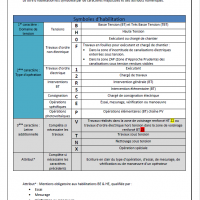 Habilitation électrique industrielle : les lettres