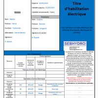 Habilitation électrique industrielle : les titres